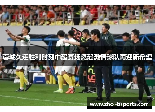 蓉城久违胜利时刻中超赛场燃起激情球队再迎新希望 蓉城久违胜利时刻中超赛场燃起激情球队再迎新希望