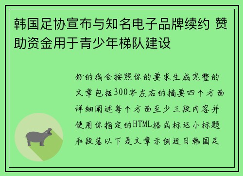 韩国足协宣布与知名电子品牌续约 赞助资金用于青少年梯队建设